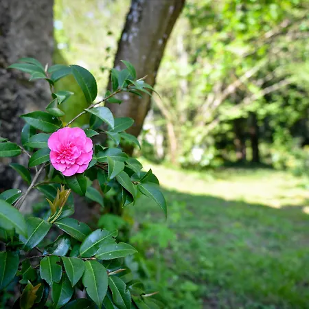 Chateau De La Grand'cour 3*