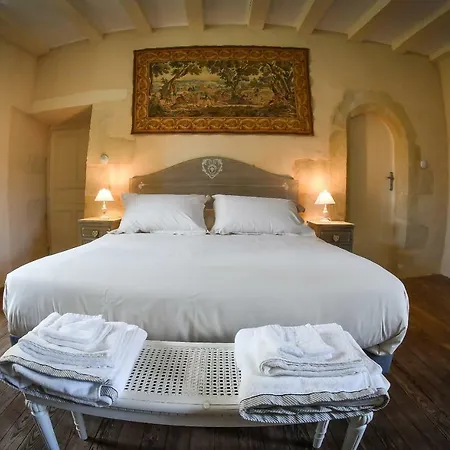 ベッド・アンド・ブレックファスト Chateau De La Grand'cour