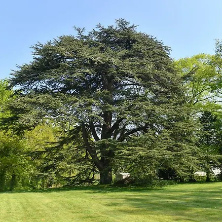 فندق مبيت وإفطار Chateau De La Grand'cour 3*