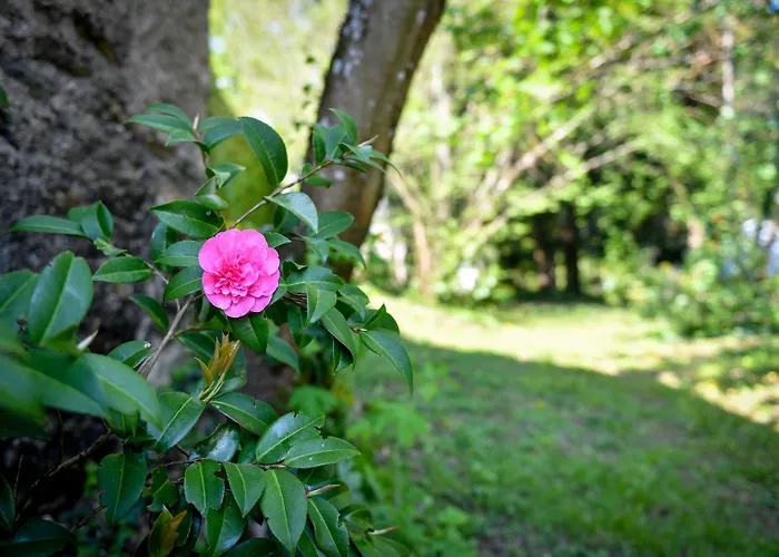 Chateau De La Grand'cour 3*