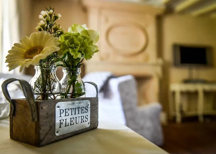 Oda ve Kahvaltı Chateau De La Grand'cour