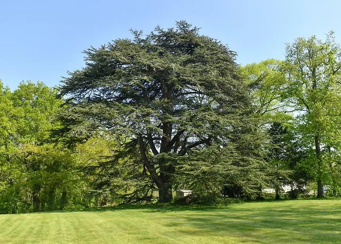 Oda ve Kahvaltı Chateau De La Grand'cour 3*